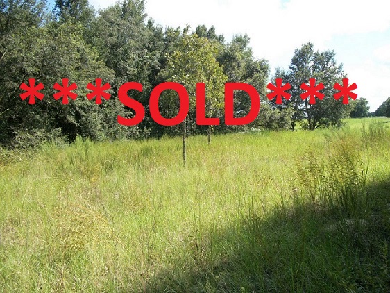 10 Acres in Trilby Trails, An Equestrian Community Trilby, Pasco County, Florida 33593 SOLD